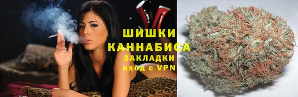spice Алзамай