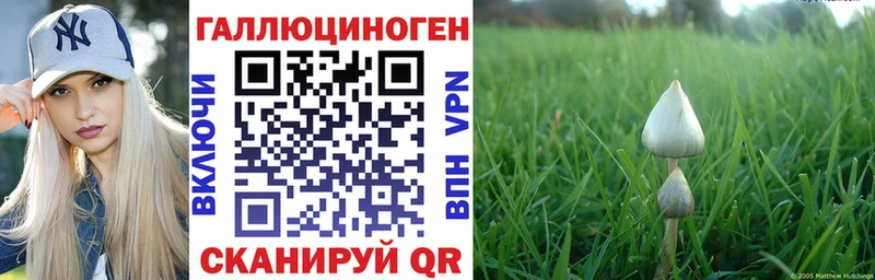 Галлюциногенные грибы MAGIC MUSHROOMS купить наркотики сайты Сарапул